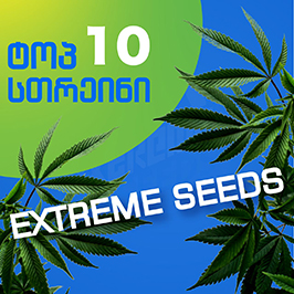 ტოპ 10 ჯიში Extreme Seeds