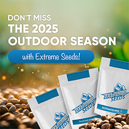Don't miss out on the 2025 outdoors season with Extreme Seeds!