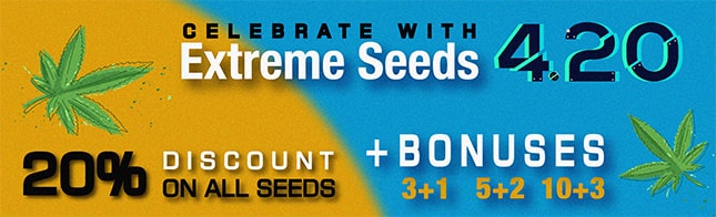 Celebrate with Extreme Seeds 420!