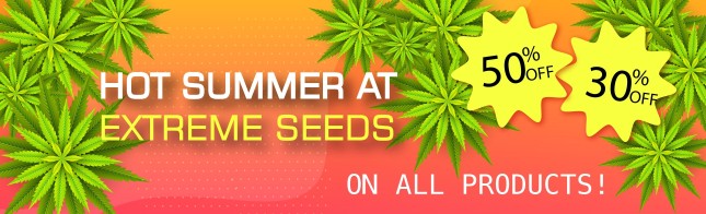 Hot summer at Extreme Seeds!