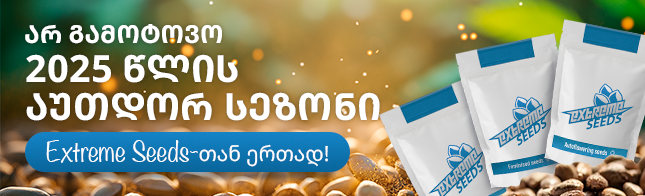 არ გამოტოვო 2025 წლის აუთდორის სეზონი Extreme Seeds-თან ერთად!