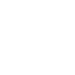 Buddha Seeds