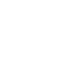 Errors Seeds Souvenirs