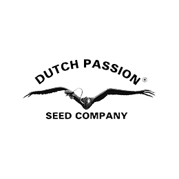 Dutch Passion