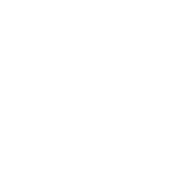 Euphoria